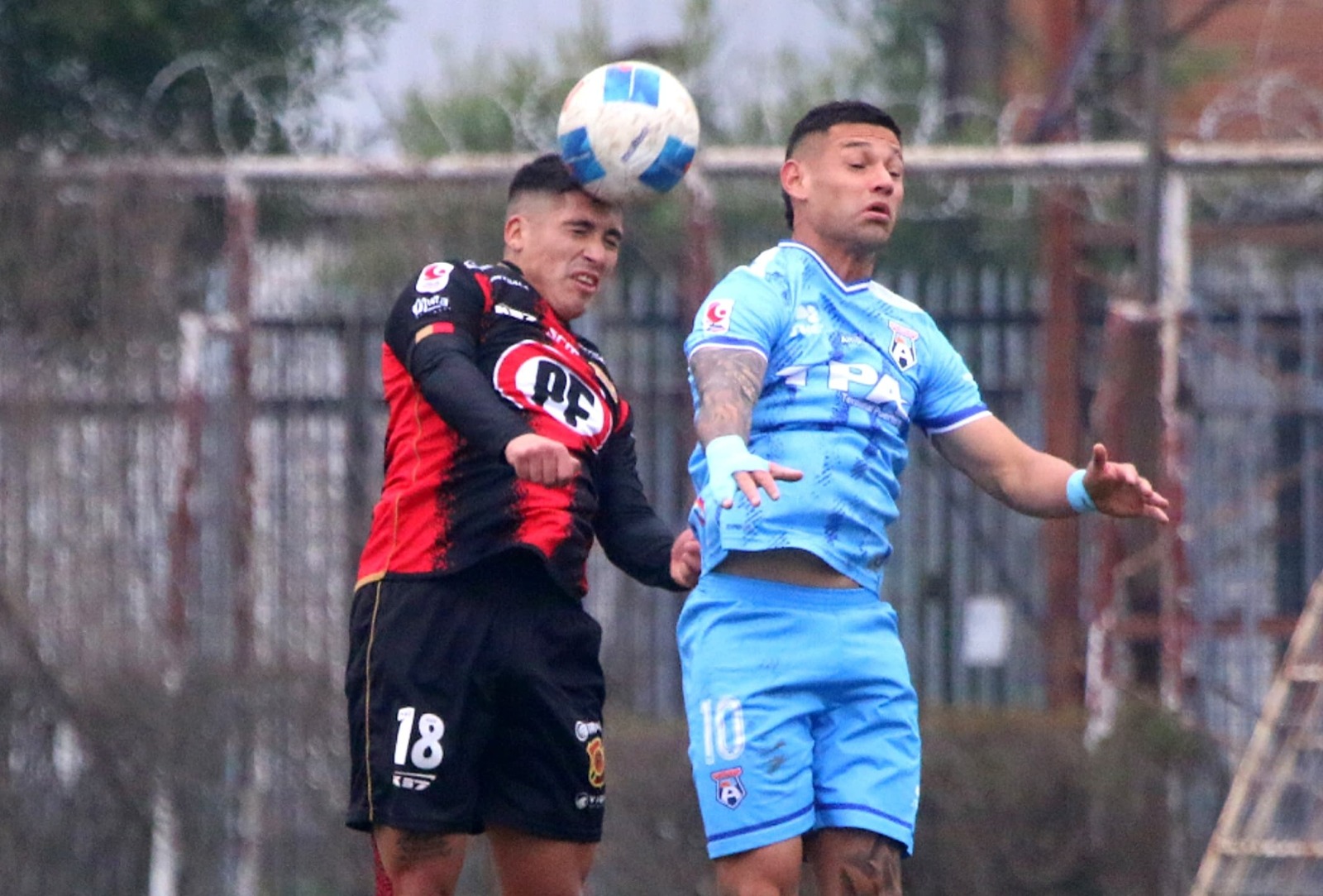 Jornada 15 | Ascenso