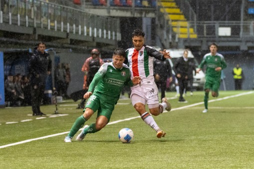 Audax Italiano y Palestino reparten puntos en el clásico de colonias